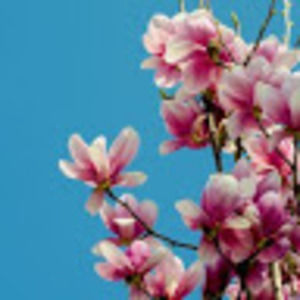 Meet your Posher, Maryam